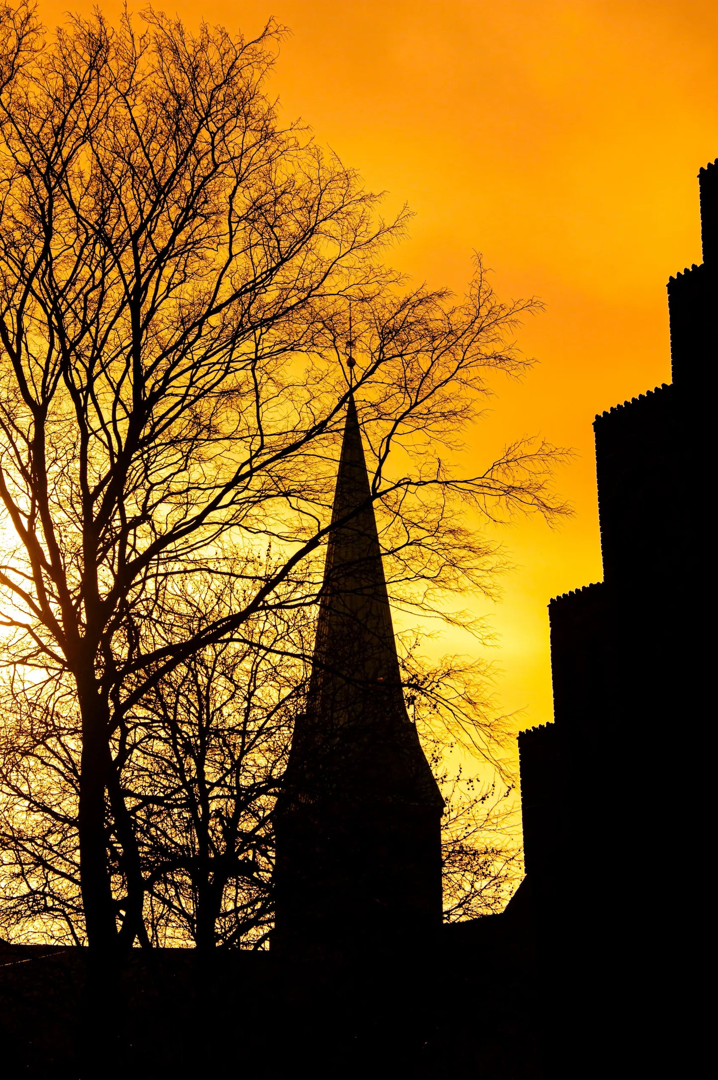 Fotoplakat af silhuet af et kloster i Helsingør